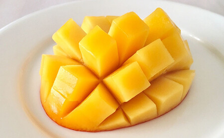 【2025年発送】久米島熱帯果樹園「特選」極上完熟マンゴー1玉（450g以上）糖度15度以上 アーウィン アップルマンゴー マンゴー トロピカル フルーツ 果物 南国 沖縄 久米島 ふるさと納税 農園