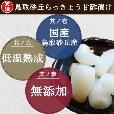 ふるさと納税 稲沢市 ふぞろいらっきょう甘酢/ピリ辛漬け 詰め合わせ 190g×10袋 |  | 01