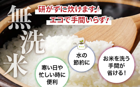 【新米予約】宮城県産 ひとめぼれ無洗米 10kg×10回定期便 ひとめぼれ