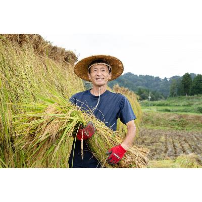 ふるさと納税 十日町市 【令和7年産】厳選棚田米(超低農薬)　魚沼産コシヒカリ特別栽培米4kg(2kg×2袋) |  | 01
