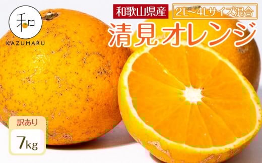 訳あり 森本農園の手選別 大玉清見オレンジ 約7kg 和歌山県産 2L~4Lサイズ混合 ［北海道・沖縄・離島配送不可］［2026年2月上旬から5月中旬頃順次発送予定］［RN103］