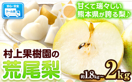 梨 なし 荒尾梨 約1.8～2kg 果物 和梨 村上果樹園 あきづき 甘太 秋麗 【品種の指定不可】 《8月上旬-10月上旬頃出荷》熊本県 荒尾市 2kg 前後 果物 フルーツ 旬 荒尾市産 国産 冷蔵 ギフト 贈り物 お中元 送料無料 美味しい梨 旬の梨 ジューシー梨 フルーツ梨