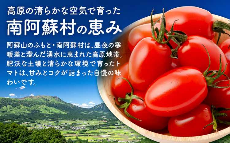 ミニトマト アイコ＆キャロルスター 約3kg ますだふぁーむ《7月上旬-11月末頃出荷》熊本県 南阿蘇村 アイコトマト キャロルスター 野菜 旬 夏野菜 トマト---sms_cmsfmak_af711