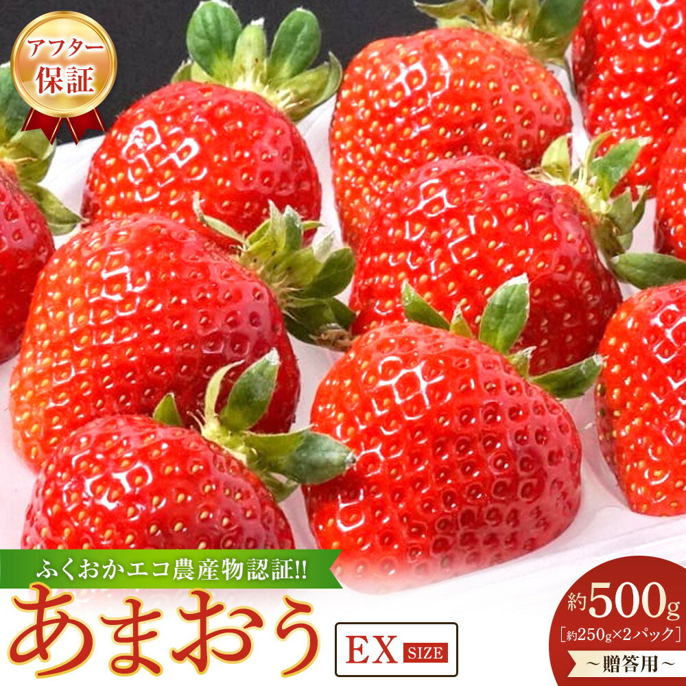 【ふるさと納税】【先行予約 2026年1月以降発送】ふくおかエコ農産物認証!! あまおうEXサイズ 贈答用 約500g（約250×2パック）＜筑前町＞ | フルーツ 果物 くだもの 食品 人気 おすすめ 送料無料