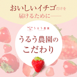 ＜全12回定期便(毎月)＞冷凍あまおう（計24kg:2kg×12回) いちご イチゴ 苺 あまおう 冷凍いちご 冷凍イチゴ 国産 福岡県 特別栽培 果物 フルーツ アイス ジャム 冷凍フルーツ ＜離島