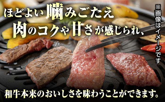 肥後の赤牛 焼肉 500g やきにく 焼き肉 贅沢 熊本 赤牛 褐牛 あかうし 褐毛和種 肥後 冷凍 国産 牛肉【やまのや】[YDF005]