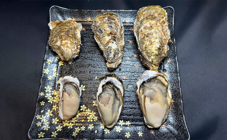 訳あり 殻付き 牡蠣 1kg 【光輝】生食用 牡蠣