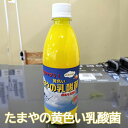 【ふるさと納税】No.097 たまやの黄色い乳酸菌　500ml ／ 小型淡水魚用 ビタミンB群 冬用 送料無料 東京都