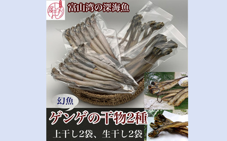 【富山湾深海魚】ゲンゲの干物 2種セット（上干し・生干し 各2袋）｜干物 魚 冷凍 焼き魚 朝食 ご飯のお供 日本酒 おつまみ セット 酒の肴 魚貝類 干物 旨味 白身 ノロゲンゲ 幻魚 Fish Seafood Dried 北陸 富山県 富山湾 魚津市