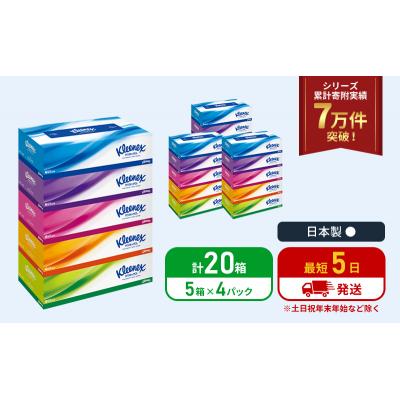 ふるさと納税 岩沼市 ティッシュ クリネックス ティシュー 5箱入×4P ティッシュペーパー [No.5704-1035] |  | 01