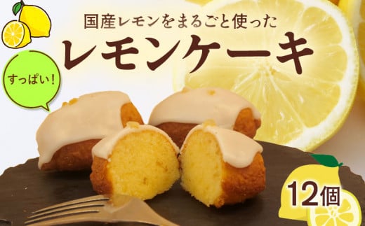 レモンケーキ 手作り 12個  檸檬 れもん ピール 菓子 無添加 低農薬 茶菓子 洋菓子 スイーツ マーマレード フルーツ 柑橘  贈答用 ギフト プレゼント 静岡県 沼津市 クリスマス 母の日 父の日