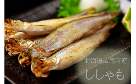 【広尾町産】干物専門店かぶらぎ水産の夫婦ししゃも１箱（オス10尾メス10尾）　鏑木水産株式会社（J0033)