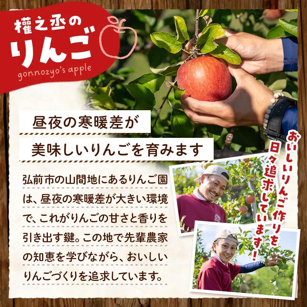 【26年11月中旬発送】りんご×お米セット まっしぐら 特別權之丞米【白米】5kg ＆葉とらず コスモふじ【家庭用】約2kg 先行受付 青森県産 權之丞