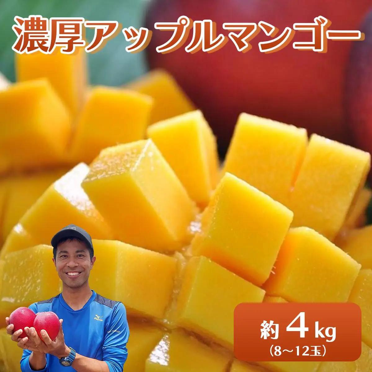 2026年 先行予約 アップルマンゴー 約4kg 8～12玉入り 八重山マンゴー品評会総合1位を計3回獲得！高糖度保証！農園ファイミール 濃厚 果物 フルーツ
