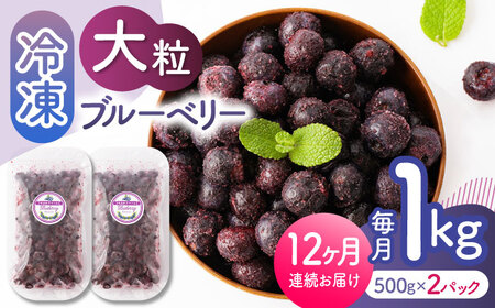 先行予約 【12回定期便】大粒 冷凍ブルーベリー 約1000g（約500g×2pc）【すみれファーム】果物 フルーツ くだもの 大粒 小分け 熊本県産ブルーベリー [ZEP012]
