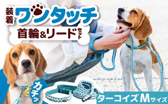 ペット 犬の首輪＆リードセット ターコイズ M ペット BLBX006