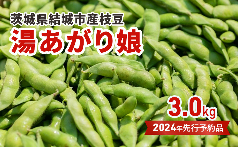 
先行予約 茨城県結城市産枝豆「湯あがり娘」3kg（茶豆味） [№5802-0958]
