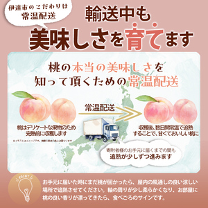 【2026年出荷分先行予約】福島県産 川中島白桃 約2kg (5～9玉) 酒井 幸吉 白桃 大玉 伊達の桃 桃 フルーツ 果物 もも モモ momo F20C-646