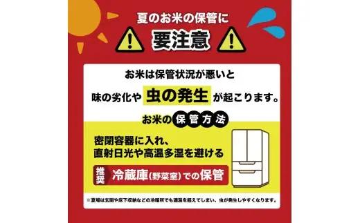 コシヒカリ 5kg 白米 