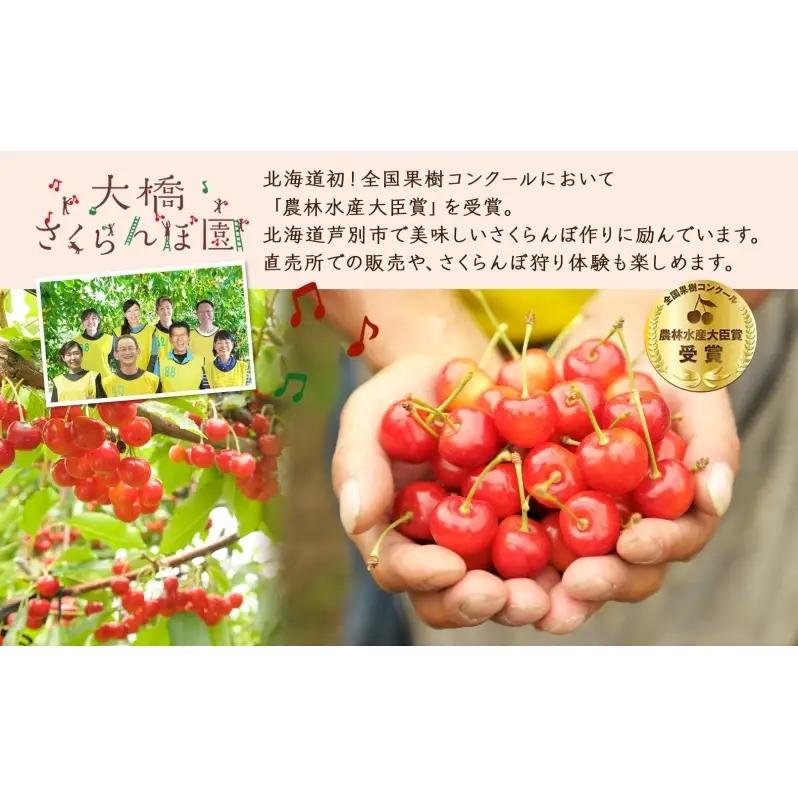 冷凍 160g×6パック 北海道 冷凍 さくらんぼ 果物