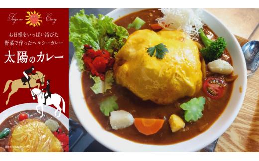 太陽のカレー　200g（1人前）×5個 / カレー 冷凍カレー 本格的 スパイシーカレー / 白川町 / ガラパゴスカフェ [AWBN001]