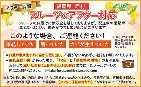 福岡県産 キウイ 甘うぃ 約1.4kg (9玉)  キウイ キウイフルーツ  kiwi 果物 フルーツ 送料無料 3W25