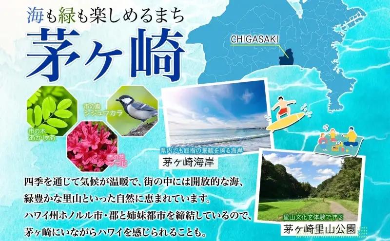 ハム 国産 熟成肉 プレミアムギフトA 詰め合わせ ハム