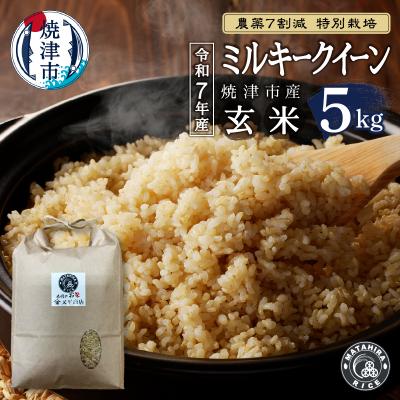ふるさと納税 焼津市 令和7年産 特別栽培 安心 安全 の ミルキークイーン 玄米5kg(a14-136)