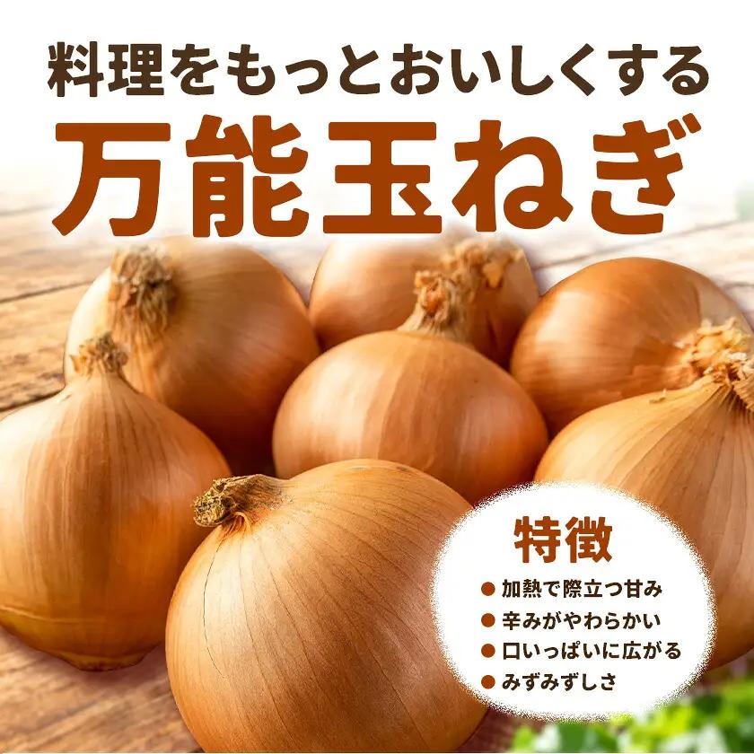 野菜 玉ねぎ・紫玉ねぎ 10kg B&T TRADING株式会社