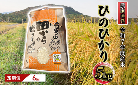 ひのひかり 令和7年産 筑後小郡産 農家直送 ひのひかり【5kg】【定期便 全6回】
