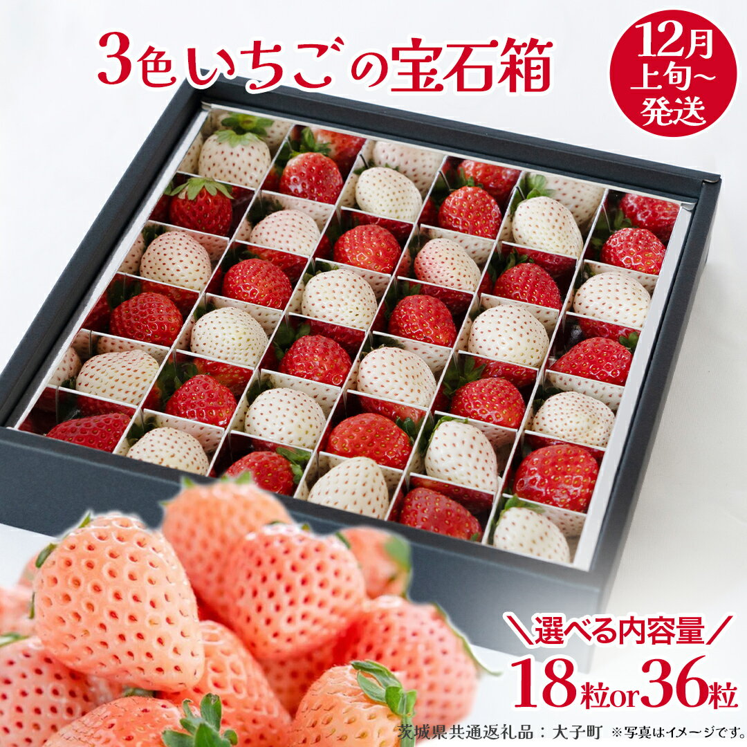 【ふるさと納税】《 選べる 内容量 》3色いちご の宝石箱 18粒 / 36粒 【2025年12月上旬発送開始】(茨城県共通返礼品：大子町) いちご 苺 果物 フルーツ 果実