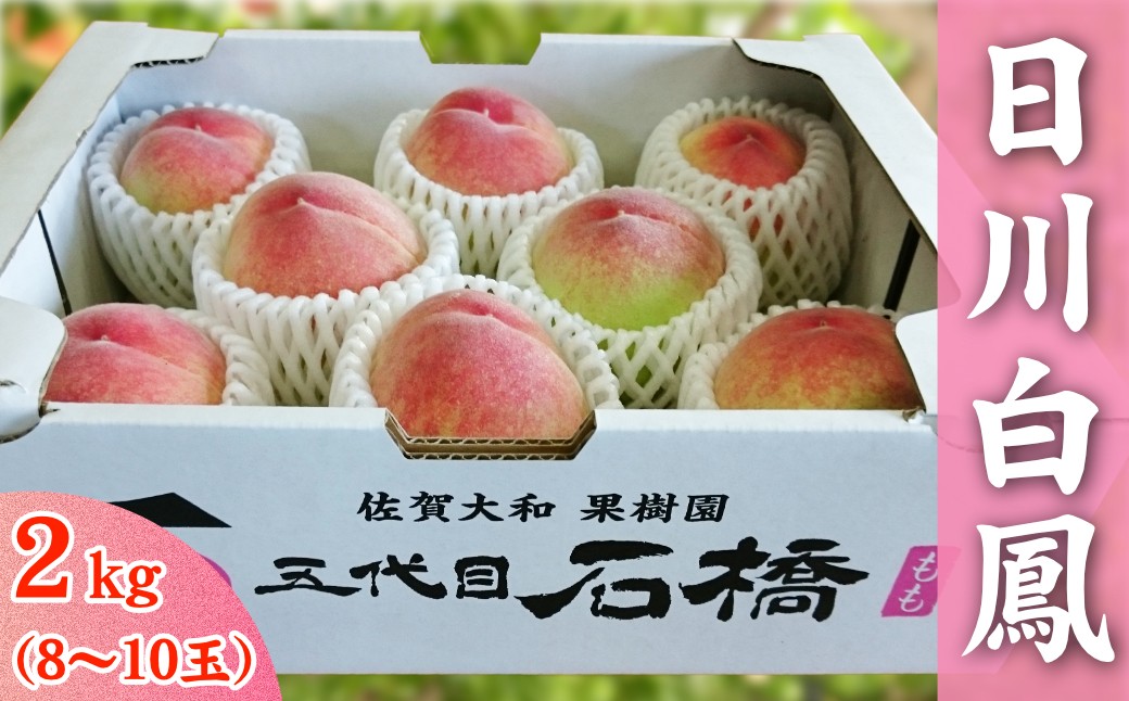 
                  石橋果樹園 日川白鳳 2kg（8～10玉）
                