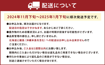 福岡産【冬】あまおう4パック いちご 苺 イチゴ 果物 くだもの フルーツ 冷蔵 【2024年11月下旬～2025年1月下旬発送予定】