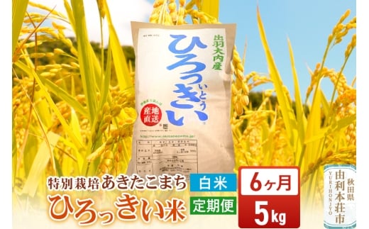 《定期便6ヶ月》【白米】 秋田県産 あきたこまち 5kg 令和7年産 特別栽培米 ひろっきい米