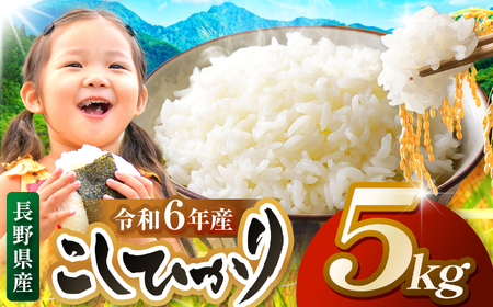 米 5kg コシヒカリ 令和7年産 JA上伊那 新米 コシヒカリ 今ずり米 5kg 長野 上伊那産 お米 長野県産 こしひかり 5キロ 白米 精米 信州産 特産 産地直送 おすすめ こめ コメ おこめ 送料無料 長野県 伊那市 【017-24】