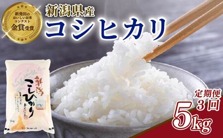 【3回定期便】米 こしひかり 5kg 新潟県 定期便 精米 ブランド米 [shibatafarm007]