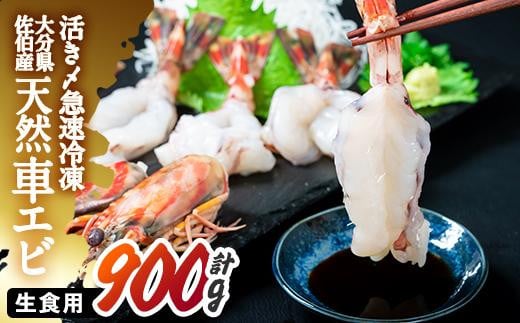 天然 活き〆車エビ 生食用 (計900g・300g×3袋) エビ 海老 車海老 冷凍 刺身 さしみ 天ぷら 塩焼 バーベキュー 国産 大分県産 大分県 佐伯市 やまろ渡邉【DL19】【鶴見食賓館】