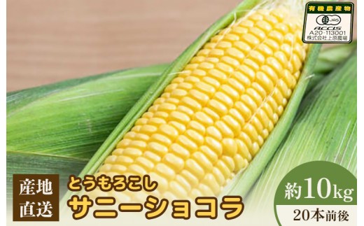 
            【先行予約】上原農場直送 有機栽培とうもろこし (サニーショコラ) 約10kg 約20本前後 | ふるさと納税 北海道 中標津 なかしべつ とうもろこし サニーショコラ とうきび コーン 野菜 夏野菜 夏 産地直送 新鮮 採れたて 朝採れ 甘い オーガニックお取り寄せ ワンストップ マイページ 上原農場 中標津町【66020】
          