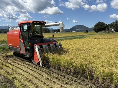 【ふるなびWEEK対象】無洗米 つや姫 5kg 宮城県産《 令和7年産 新米 》 yu-th05-mu-r7 FN-Limited-PR