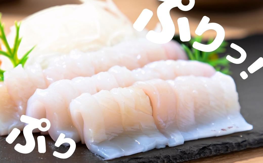 今が旬！朝どれ寒シマメ特大サイズ（350-400g）丸ごと3杯セット 1kg?1.2kg_イメージ3