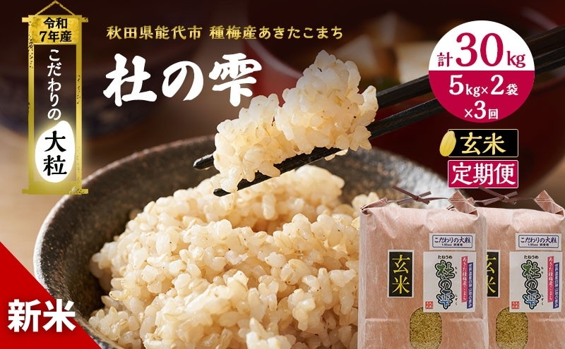 
            令和7年産 米 お米 《定期便3ヶ月》【玄米】秋田県産 あきたこまち あきた種梅産こまち 杜の雫 こだわりの大粒 10kg（5kg×2袋）×3回 合計30kg
          