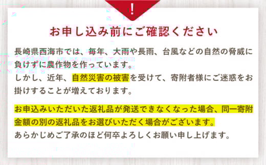 【先行予約】 ゆめのか いちご 計2kg（250g×8パック）＜川原農園＞ [CDR010]  長崎 西海 いちご 苺 イチゴ 贈答 ギフト