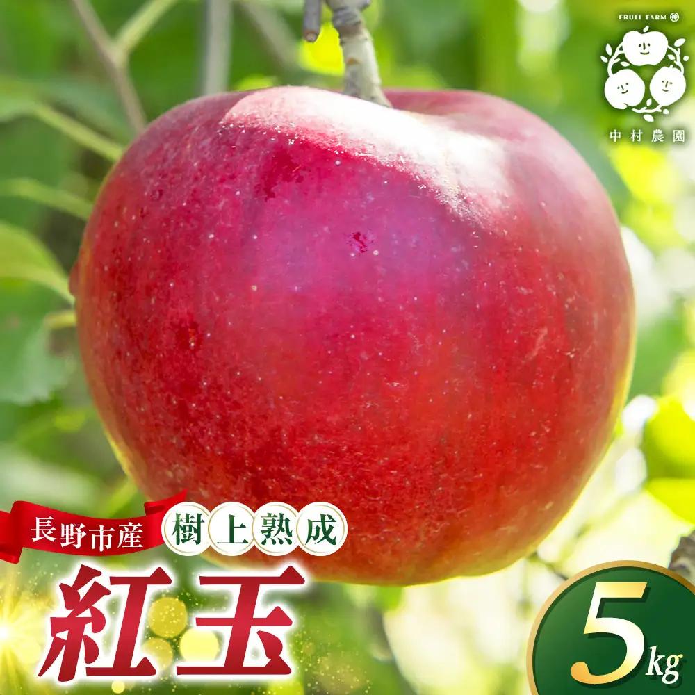 フルーツファーム中村農園　【9月中旬発送 先行予約】樹上熟成　紅玉 5kg | りんご 紅玉  加工用