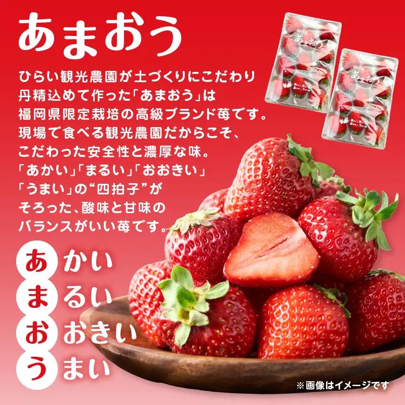 人気の2種いちご食べ比べセット「あまおう450g」＋「かおり野450g」合計900g｜2027年1月下旬～順次発送＜ひらい観光農園＞ いちご 苺 イチゴ フルーツ 果物 くだもの 065-001