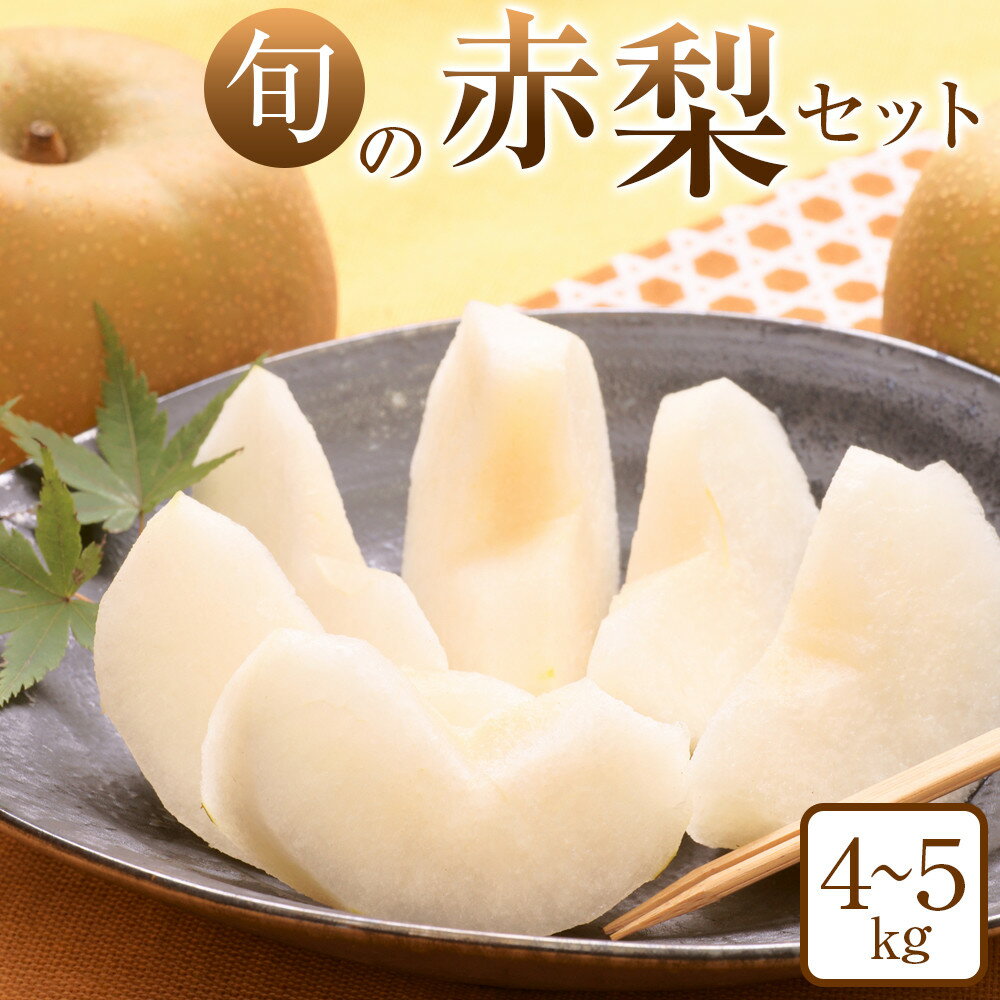 【ふるさと納税】307.【先行予約】旬の赤梨セット 4～5kg前後 ※2025年8月下旬～12月下旬頃に順次発送予定 | 先行予約 梨 なし 果物 フルーツ くだもの 鳥取県 北栄町 おすすめ 人気 送料無料