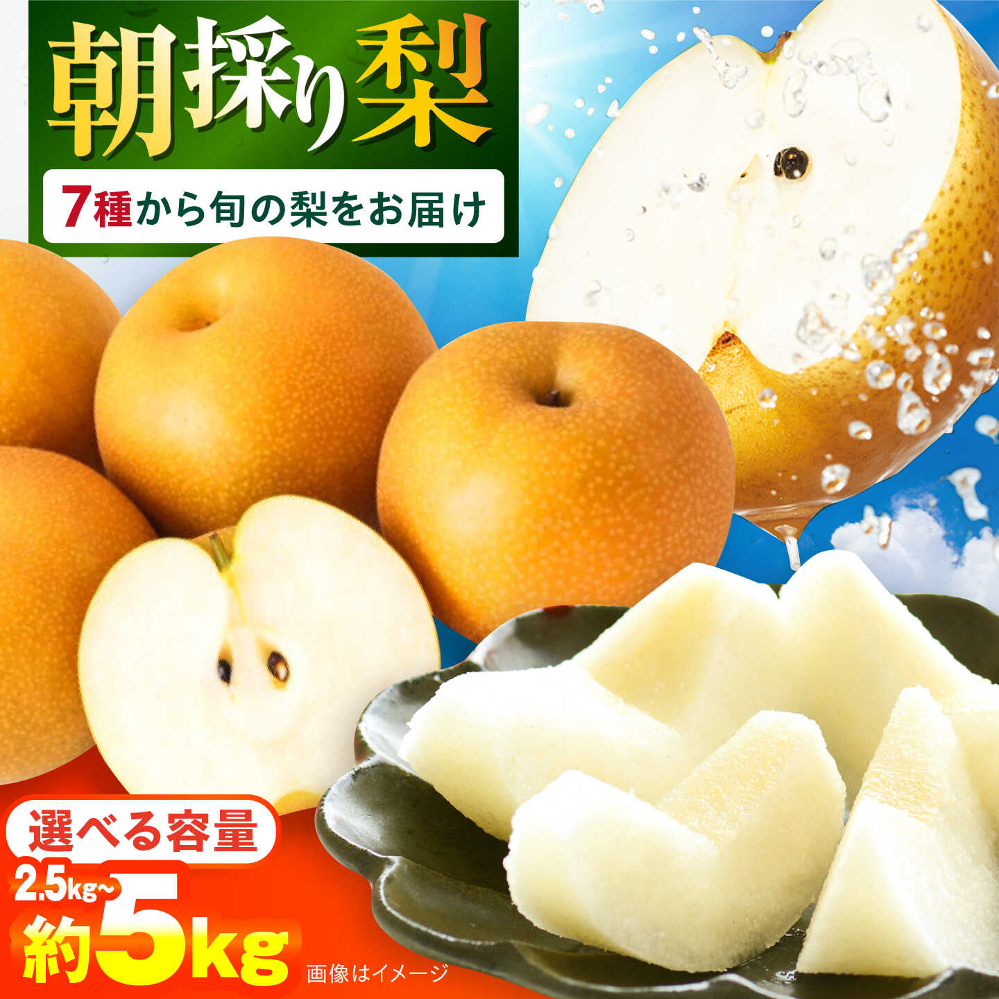 【ふるさと納税】【選べる容量】朝採り旬の梨 約2.5kg or 約5kg / 梨 ナシ なし 果物 フルーツ 幸水 豊水 秋麗 あきづき 新高 20世紀 かんた / 大村市 / 産直松吉[ACZC007]