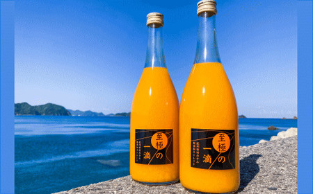 ジュース みかんジュース ストレート ミカン 蜜柑 フルーツ 【無添加】田村みかんの新鮮100％ジュース「至極の一滴」720ml×3本入り【tec933A】