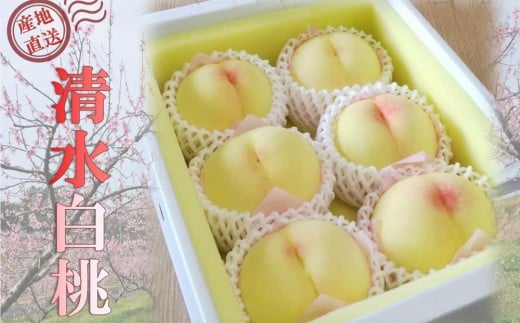 桃 2026年 贈答用 岡山 清水 白桃  約2kg（5～7玉） 【白桃 桃 モモ 岡山県 岡山市産 国産 フルーツ 果物 ギフト 新鮮 おすすめ 人気 贈答品】