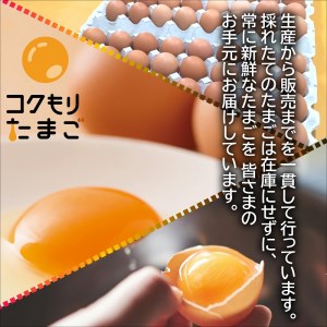 【B4-059】養鶏場直送！松浦の赤たまご『コクもりたまご』大きめサイズ70個+破卵保障10個
