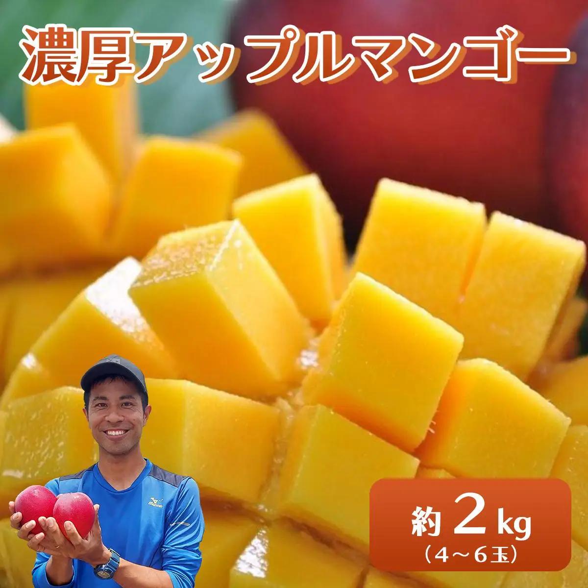 アップルマンゴー 約2kg 